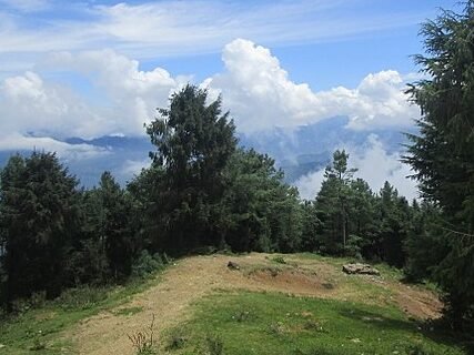 Shimla Reserve Forest Sanctuary Famous Wildlife Wonderland In The