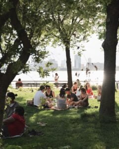 Picnic