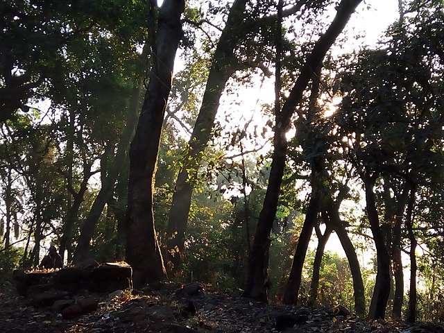 Radhanagari Wildlife Sanctuary