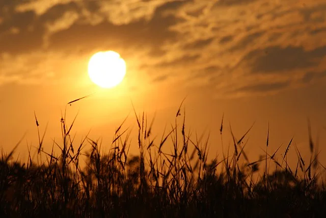 Bhimashankar wildlife