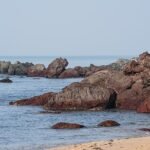 1 Day Goa Local Sightseeing Trip