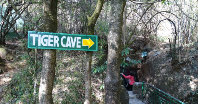 Eco Cave Garden