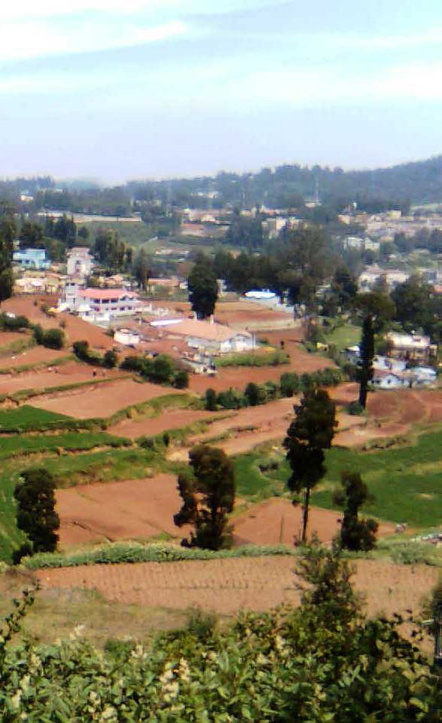 Elk Hill,
