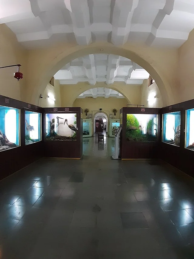 Indore Museum