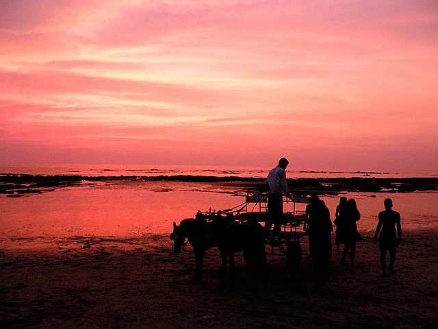 Kihim Beach: A Paradise for Nature Lovers 4 Kihim Beach
