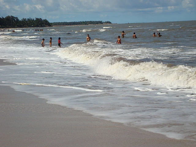 Kihim Beach: A Paradise for Nature Lovers 3 Kihim Beach
