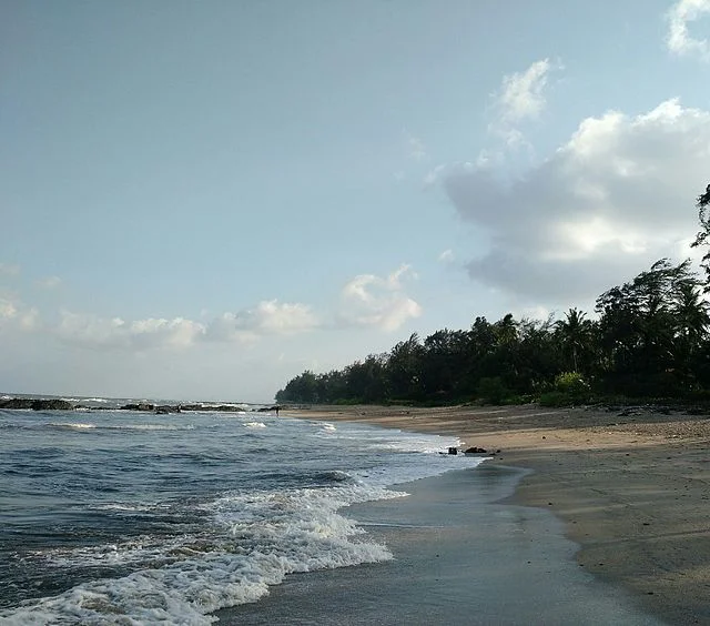 Kihim Beach: A Paradise for Nature Lovers 2 Kihim Beach