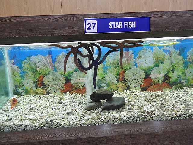 Ratnagiri-Marine-Fish-Museum3