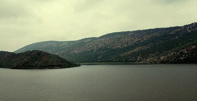 Siliserh Lake Palace, Alwar: A Scenic and Historic Destination 3 Siliserh Lake Palace