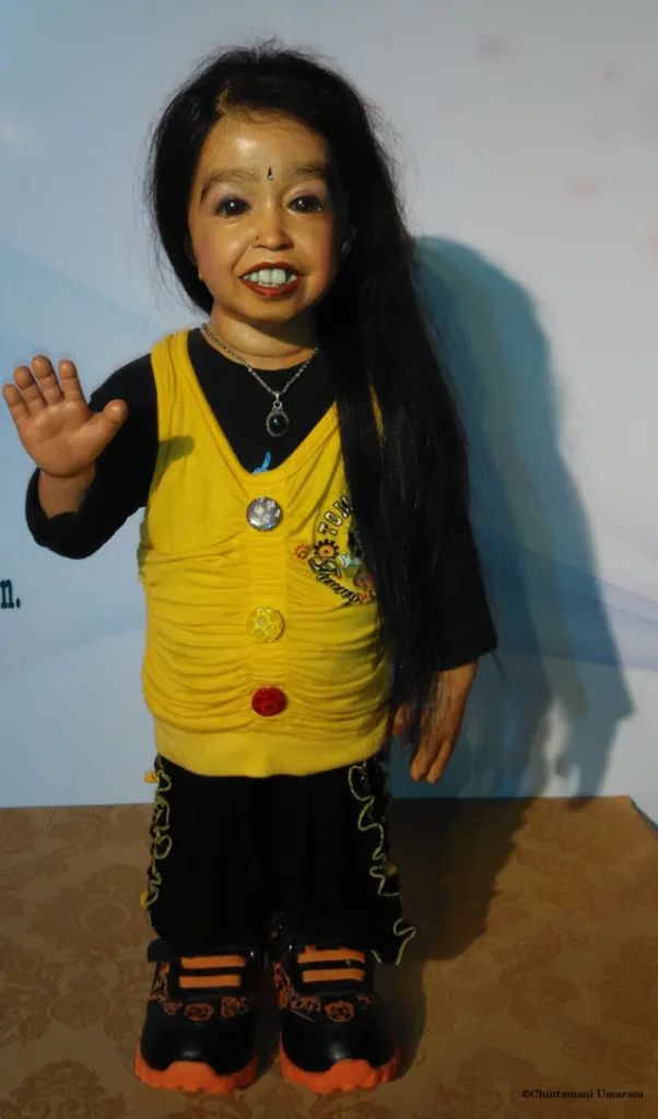 Sunil Celebrity Wax Museum 