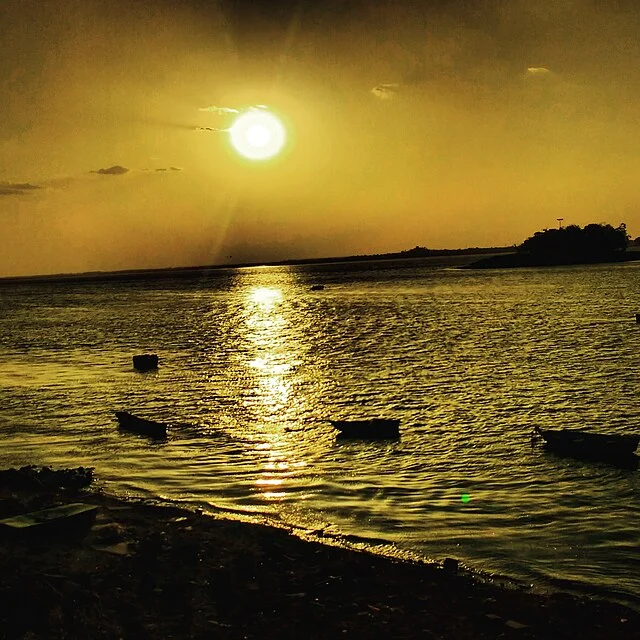 Upper Lake, Bhopal: A Natural and Historical Wonder 2 Upper Lake