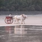 Kashid Beach