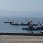Significance of Murud Beach