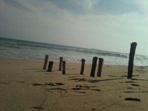 Ramakrishna Beach: A Beautiful and Vibrant Beach in Visakhapatnam - E