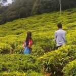 3D-2N Coimbatore To Coonoor-Ooty Tour Package