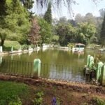 Sim’s Park 1 Day Coimbatore To Ooty Tour Package