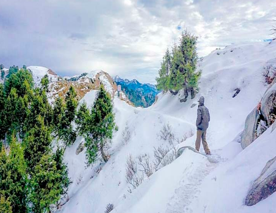 Dainkund Peak: A Scenic and Serene Spot in Dalhousie 2 Dainkund Peak