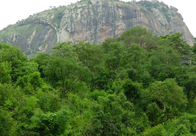 Vellore Amirthi Zoological Park Nearby Tourist Attractions