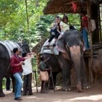Elephant_rides_in_Thekkady_1 Day Kumarakom To Thekkady Tour Package