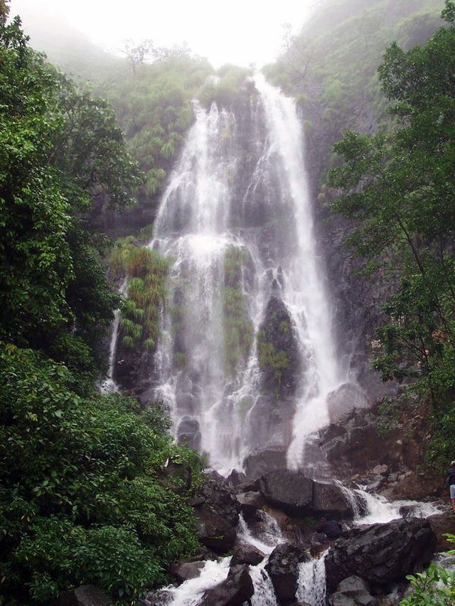 Amboli Waterfall
