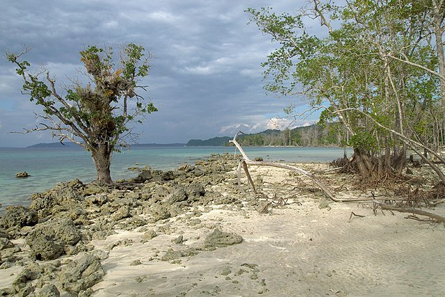 Havelock Island