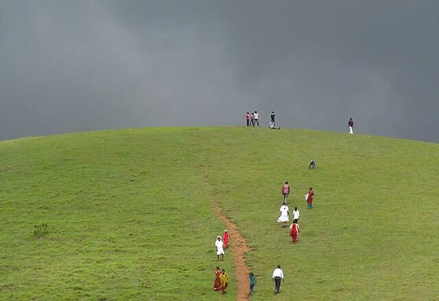 Vagamon Meadows: The Enchanting Green Carpet of Kerala - E India Tourism