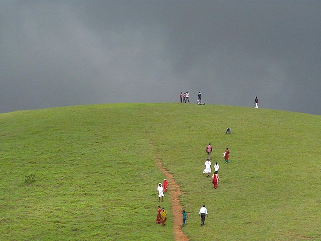 Vagamon Meadows: The Enchanting Green Carpet of Kerala - E India Tourism