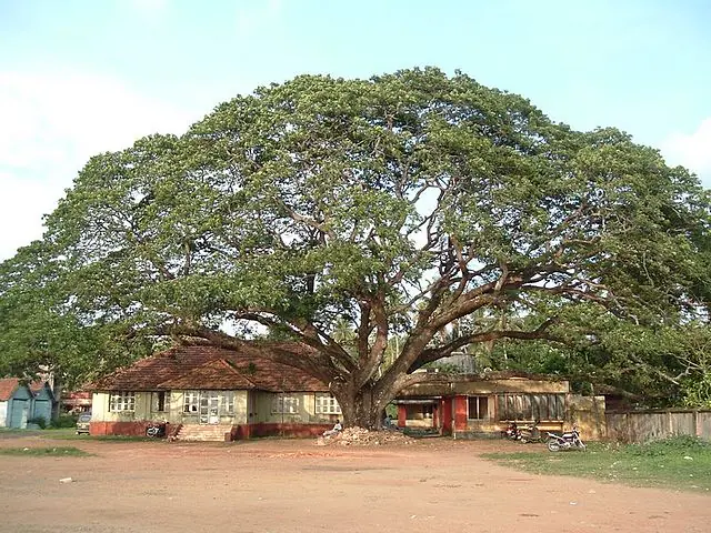 Vaikom