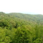 Parambikulam Wildlife Sanctuary 3D-2N Coimbatore to Palakkad-Pollachi Tour Package