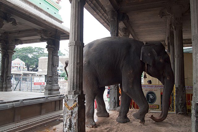 Arunachaleswarar Temple