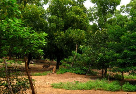 Ballavpur Wildlife Sanctuary