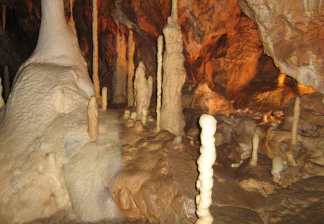 Bear's Cave: Famous Ancient Wonder in Yercaud 2 Bear's Cave