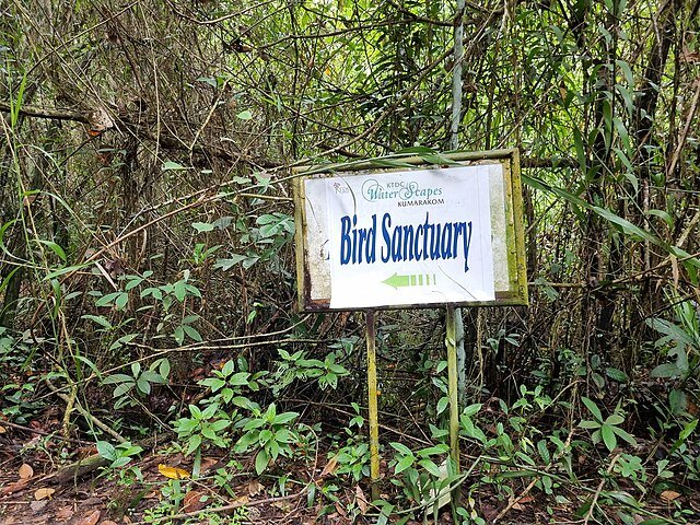 Kumarakom Bird Sanctuary