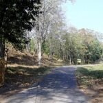 Parambikulam Wildlife Sanctuary 1 Day Coimbatore to Pollachi Tour Package