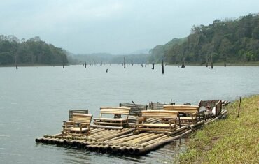 Periyar Wildlife Sanctuary