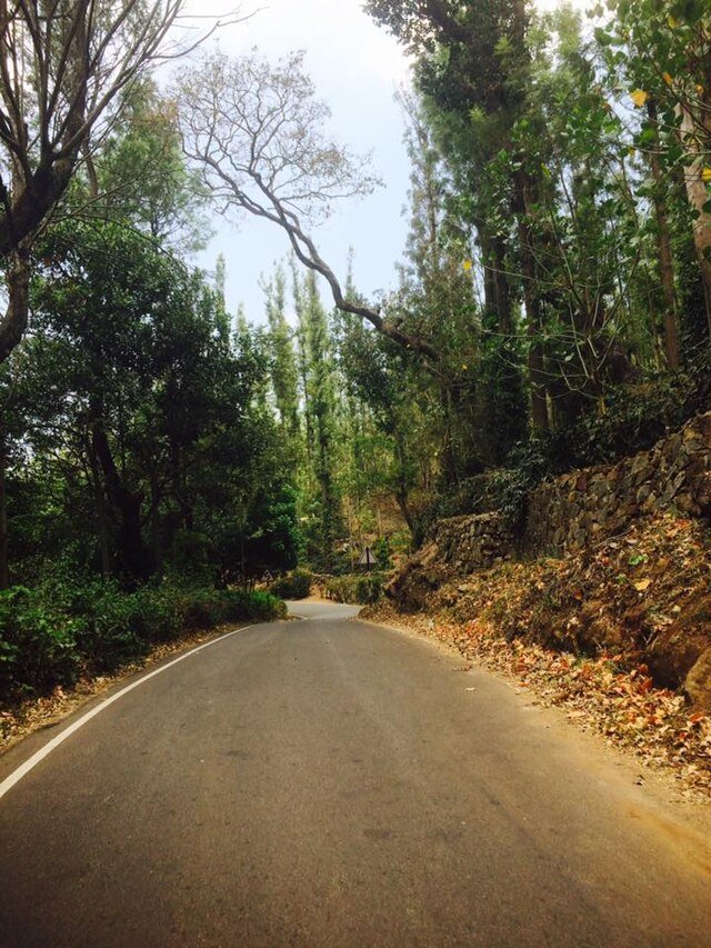 Survarayan Temple: Best Sacred Abode in Yercaud - E India Tourism