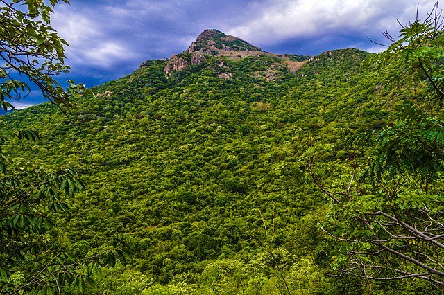 Survarayan Temple: Best Sacred Abode in Yercaud 5 Survarayan Temple