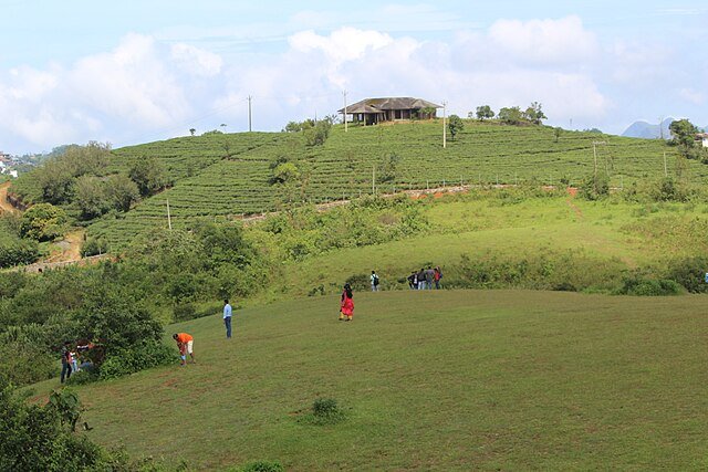 Vagamon Meadows: The Enchanting Green Carpet of Kerala - E India Tourism