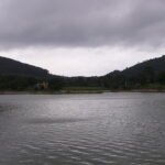 1 Day Bangalore to Yelagiri Trip | Best Quick Getaways from Bangalore 6 1 Day Bangalore to Yelagiri Trip
