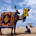 Puri Beach 1 Day Jagannath Puri Sightseeing Tour
