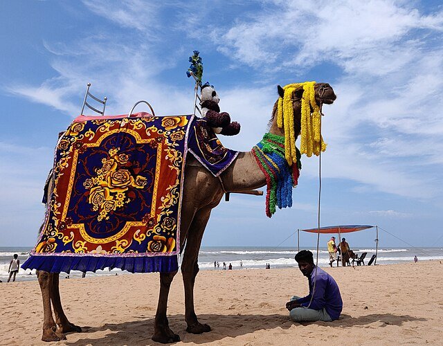 Puri Beach