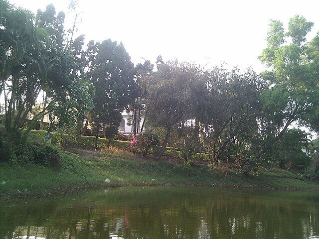 Digha_Amravati_Park_Plants_19