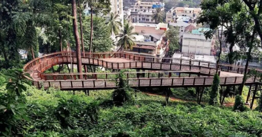 Malabar Hill Elevated Nature Trail