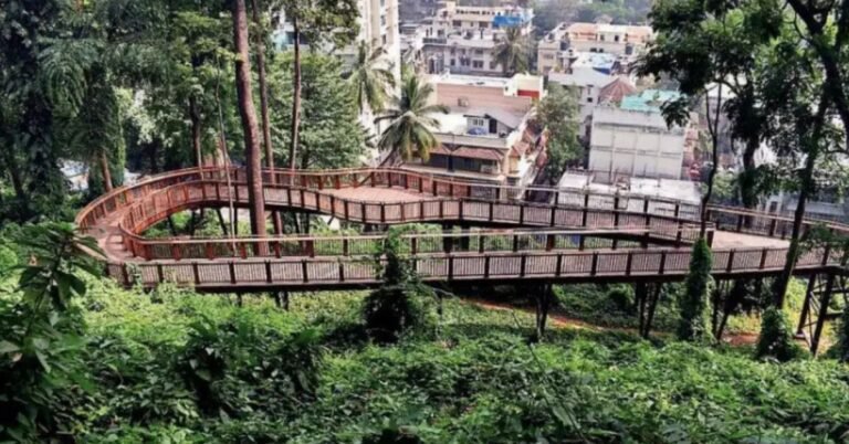 Malabar Hill Elevated Nature Trail
