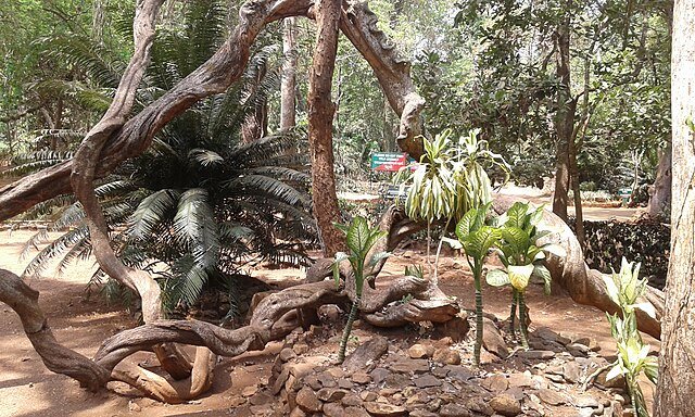 Things to Do in Goa in Monsoon – Hidden Waterfalls, Forest Treks & More 5 Bondla Wildlife Sanctuary